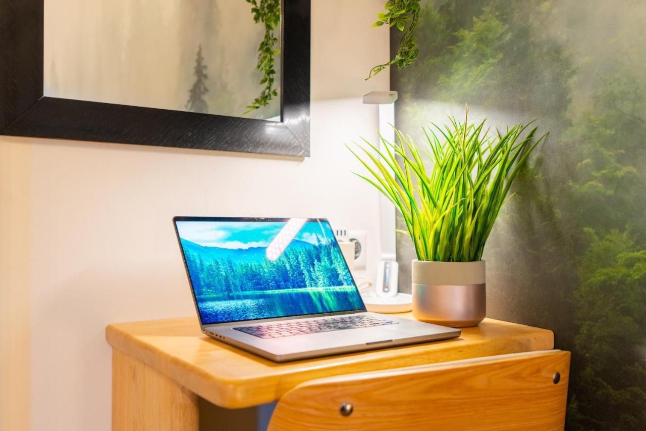 Apartment Le Cosygreen - Central/netflix/wifi Fibre - Sejour Lozere Mende