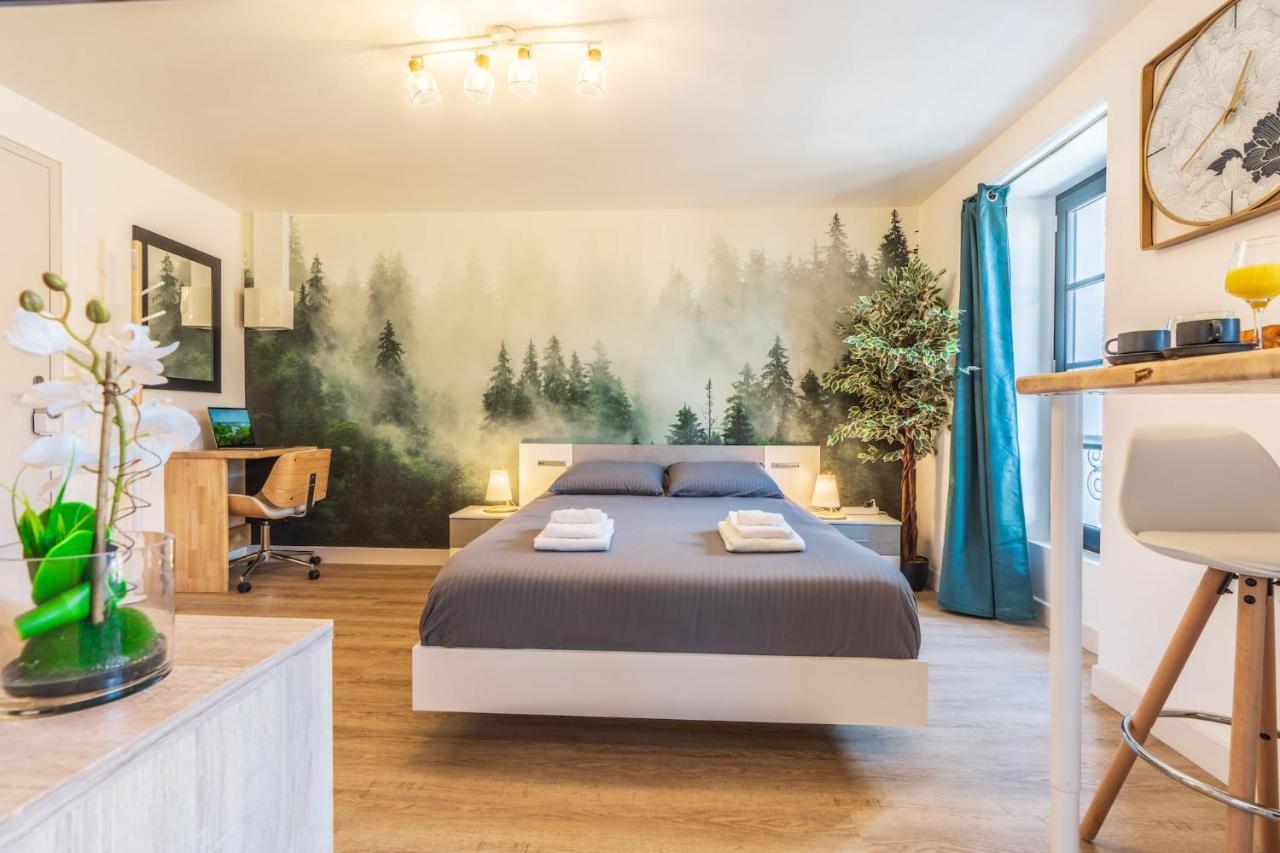 Apartment Le Cosygreen - Central/netflix/wifi Fibre - Sejour Lozere Mende