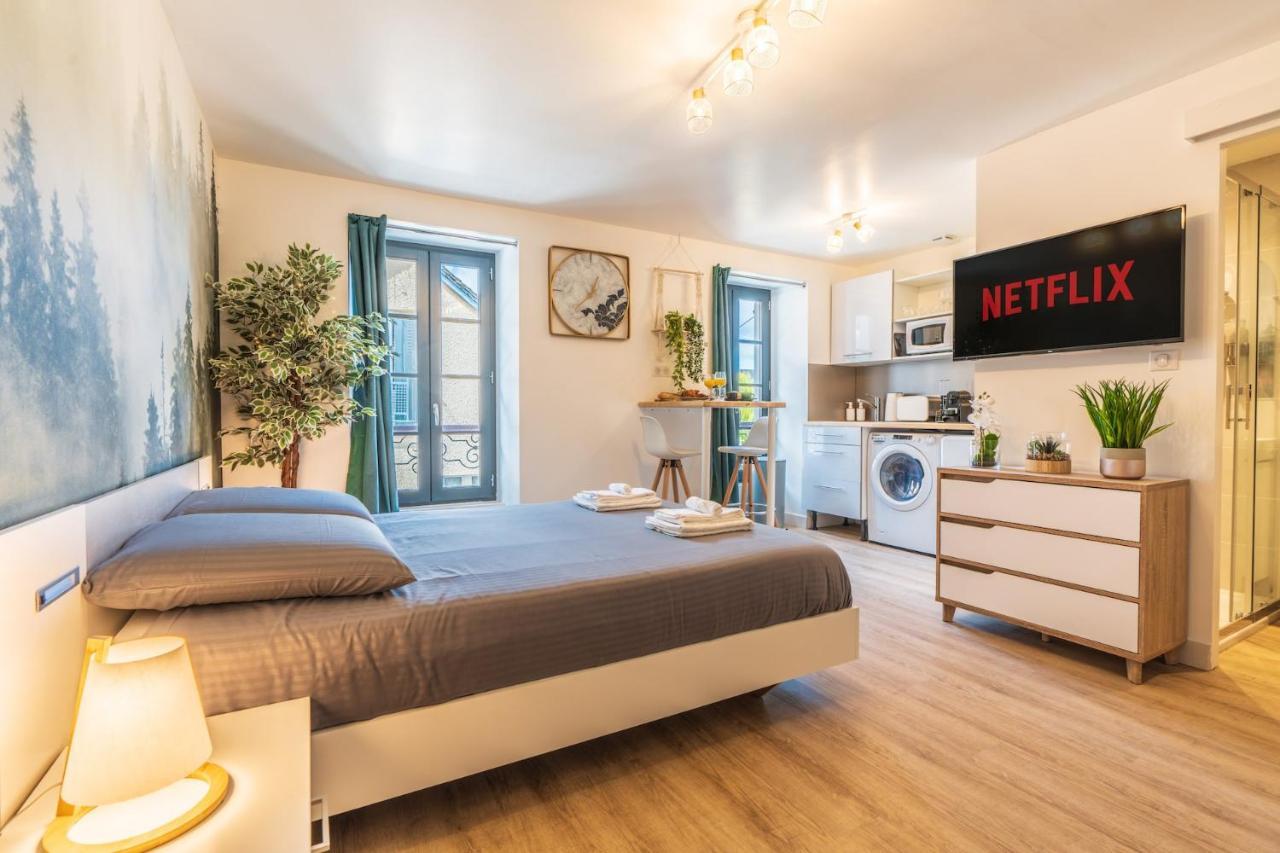 Le Cosygreen - Central/netflix/wifi Fibre - Sejour Lozere * Mende