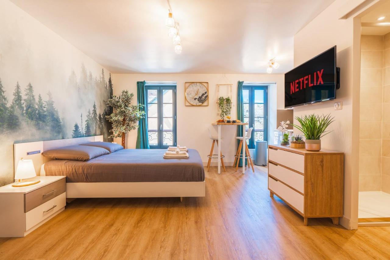 Apartment Le Cosygreen - Central/netflix/wifi Fibre - Sejour Lozere *