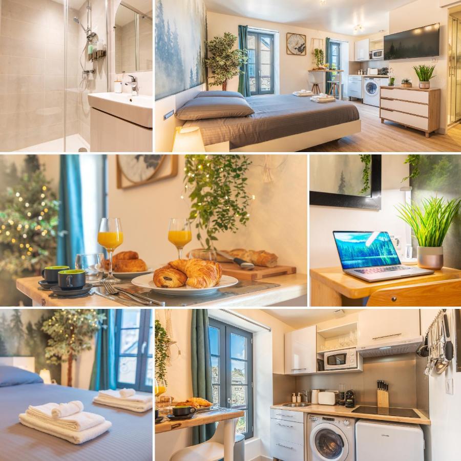 Apartment Le Cosygreen - Central/netflix/wifi Fibre - Sejour Lozere Mende